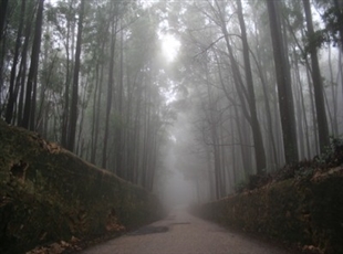 The road around